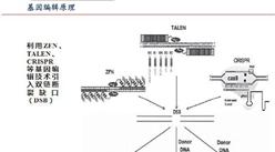 基因編輯技術創造生命奇跡