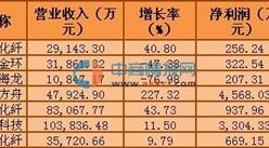 2016年一季度A股粘膠纖維行業公司收入排名