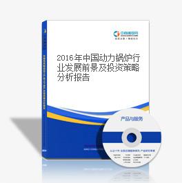 2018年中國動力鍋爐行業發展前景及投資策略分析報告