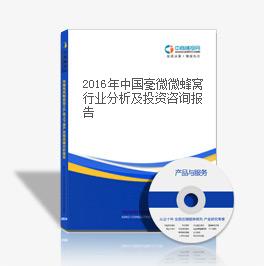 2018年中國毫微微蜂窩行業分析及投資咨詢報告