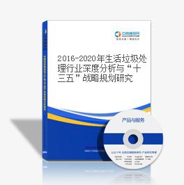 2019-2023年生活垃圾處理行業深度分析與“十三五”戰略規劃研究