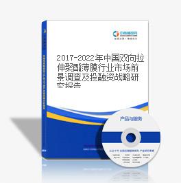 2019-2023年中國雙向拉伸聚酯薄膜行業市場前景調查及投融資戰略研究報告