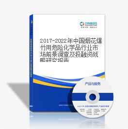 2019-2023年中國煙花爆竹用危險化學品行業市場前景調查及投融資戰略研究報告