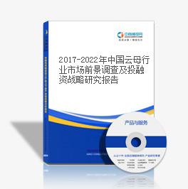 2019-2023年中國云母行業市場前景調查及投融資戰略研究報告