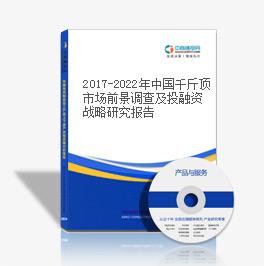 2019-2023年中國千斤頂市場前景調查及投融資戰略研究報告