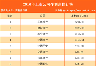 2016年上市公司净利润排行榜（TOP100）