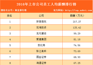 2016年上市公司员工人均薪酬排行榜（TOP100）