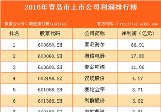 2016年青岛市上市公司利润排行榜