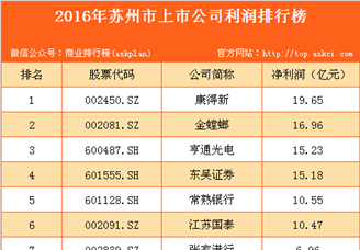 2016年苏州市上市公司利润排行榜