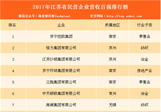 2017年江苏省民营企业100强排行榜