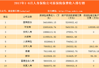 2017年1-6月人身保险公司原保险保费收入排行榜（附全榜单）