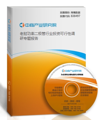 老撾功率二極管行業投資可行性調研專題報告