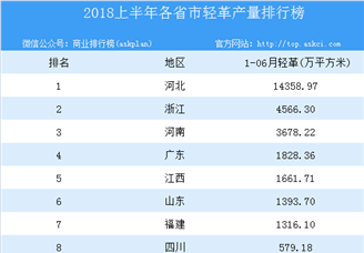 2018年上半年全国各省市轻革产量排行榜