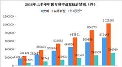 2018上半年中國專利數據統計分析：全國專利申請量超200萬件（圖）