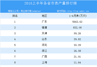 2018年上半年全国各省市表产量排行榜