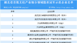 2018年湖北省首批支柱產業細分領域隱形冠軍示范企業名單一覽
