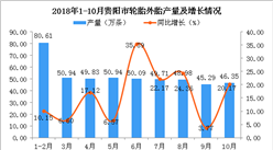 2018年1-10月貴陽市輪胎外胎產量同比增長17.48%