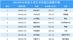 2018年山東省上市公司市值百強排行榜
