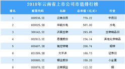 2018年云南省上市公司市值排行榜