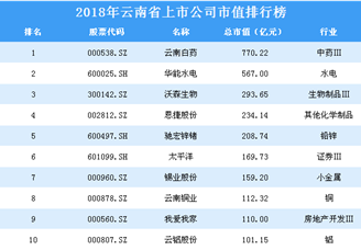 2018年云南省上市公司市值排行榜