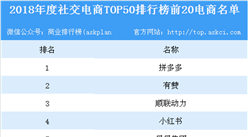 2018年度社交電商TOP50榜單出爐：拼多多位列榜首
