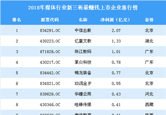 2019年新三板媒体行业最赚钱企业排行榜