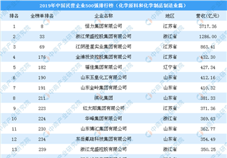 2019年中国民营企业500强排行榜（化学原料和化学制品制造业篇）