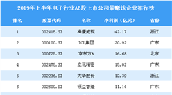 2019年上半年電子行業AB股上市公司最賺錢企業排行榜（全榜單）