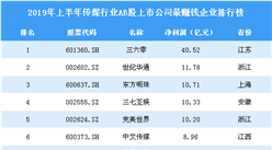 2019年上半年傳媒行業AB股上市公司最賺錢企業排行榜