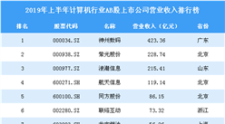 2019年上半年計算機行業AB股上市公司營業收入排行榜
