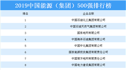 2019中國能源（集團）500強排行榜