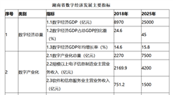 湖南發布數字經濟發展規劃：2025年數字經濟規模進入全國前10強（全文）