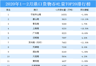 2020年1-2月港口货物吞吐量TOP20排行榜