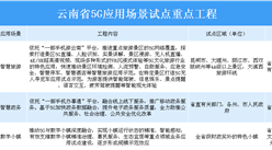 2020年云南省19項5G應用場景試點重點工程匯總一覽（表）