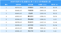 2020年軟件開發及服務行業上市公司凈利潤排行榜TOP100