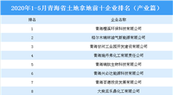 產業地產投資情報：2020年1-5月青海省投資拿地前十企業排行榜（產業篇）