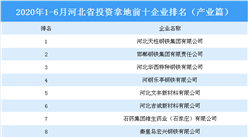產業地產投資情報：2020上半年河北省投資拿地前十企業排行榜（產業篇）