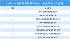 產業地產投資情報：2020上半年內蒙古投資拿地前十企業排行榜（產業篇）