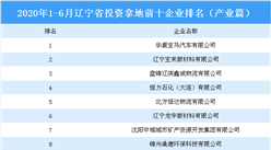 產業地產投資情報：2020上半年遼寧省投資拿地前十企業排行榜（產業篇）
