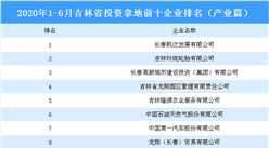 產業地產投資情報：2020上半年吉林省投資拿地前十企業排行榜（產業篇）