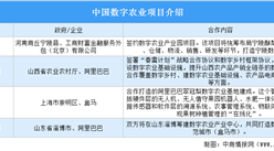 阿里與淄博共建數字農業產業中心 中國數字農業行業發展現狀分析（圖）