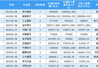 2020年中国上市企业首发计划投入募集资金排行榜 TOP100