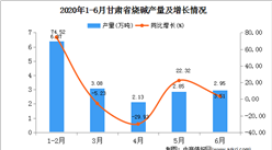 2020年1-6月甘肅省燒堿產量為17.38萬噸  同比增長20.53%