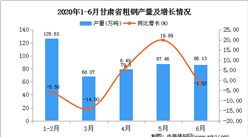 2020年1-6月甘肅省粗鋼產量為447.58萬噸  同比增長23.83%