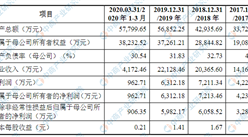 河南省力量鉆石首次發布在創業板上市 上市主要存在風險分析