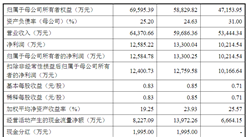 營口風光新材料首次發布在創業板上市 上市主要存在風險分析