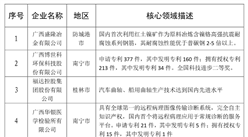 2020年廣西最具潛力民營企業排行榜