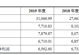 江苏扬瑞新型材料首次发布在创业板上市  上市存在风险分析（附图）