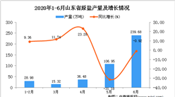 2020年1-6月山東省原鹽產量為428萬噸 同比下降14.41%