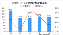 2020年6月山東省鋁材產量及增長情況分析